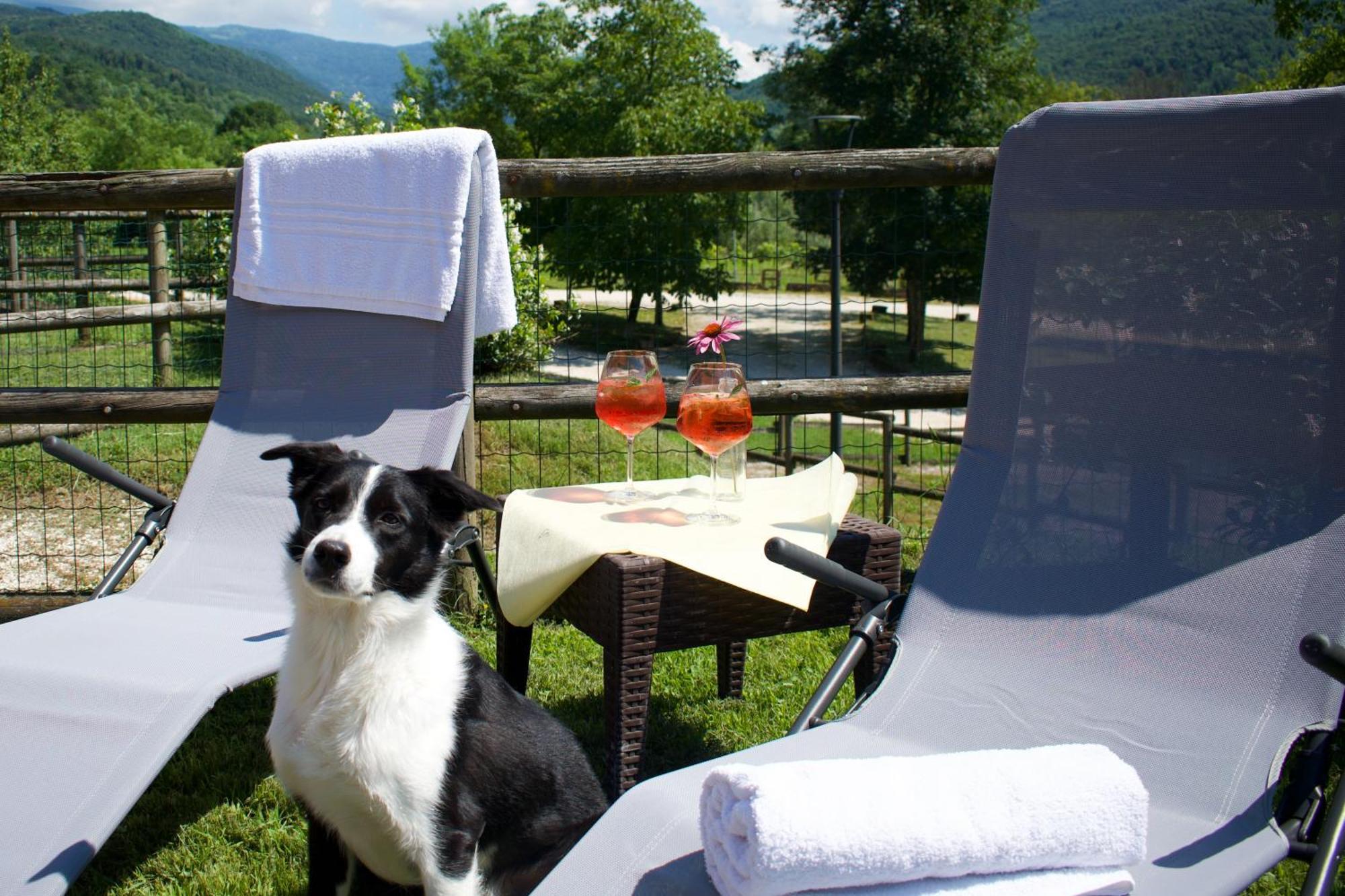 Agriturismo Monte Del Re San Pietro al Natisone Bagian luar foto